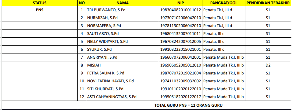 Data Guru PNS